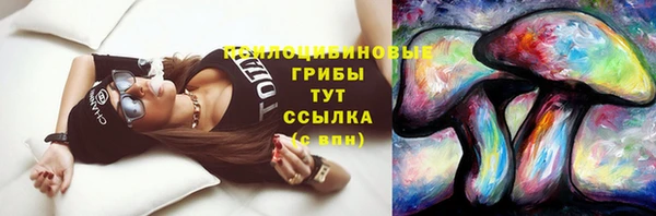 мдма Инта