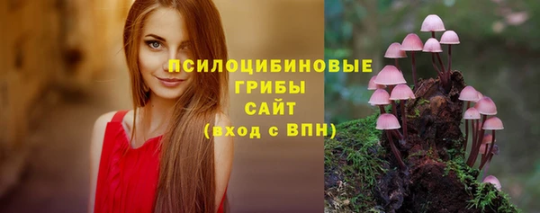 мдма Инта