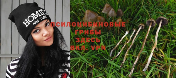 MESCALINE Инсар