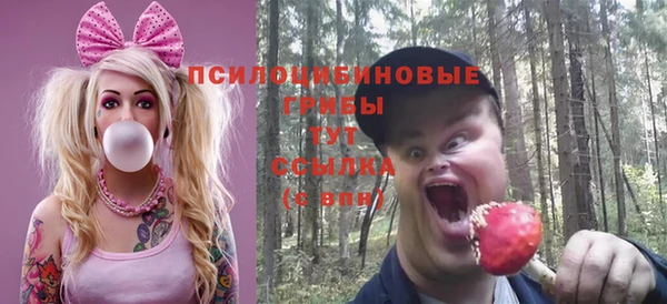 мдма Инта