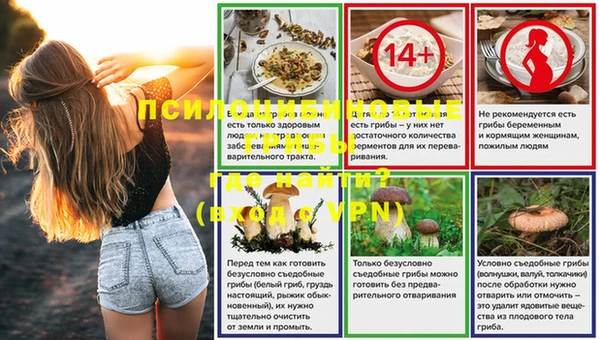 не бодяженный Иннополис