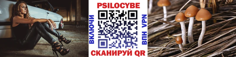Купить закладки  Ува  Псилоцибиновые грибы MAGIC MUSHROOMS 